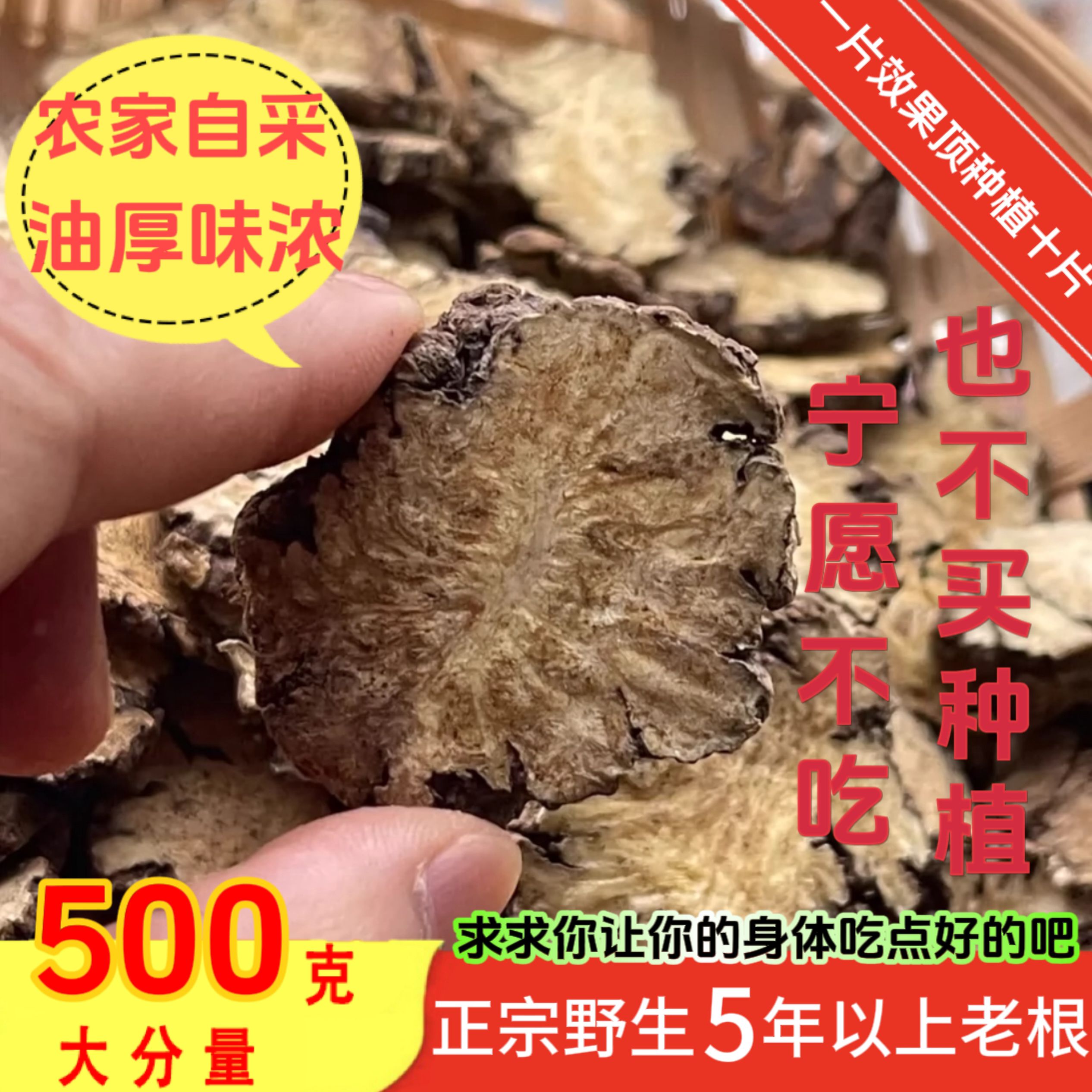 川芎中药材500g克野生川穹片老根正品可搭当归丹参四物汤打粉泡茶 传统滋补营养品 其他药食同源食品 原图主图