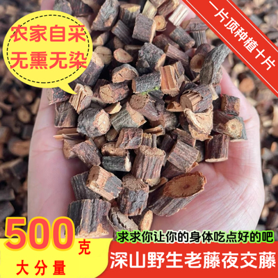 【真野生】今年新货老夜交藤主藤