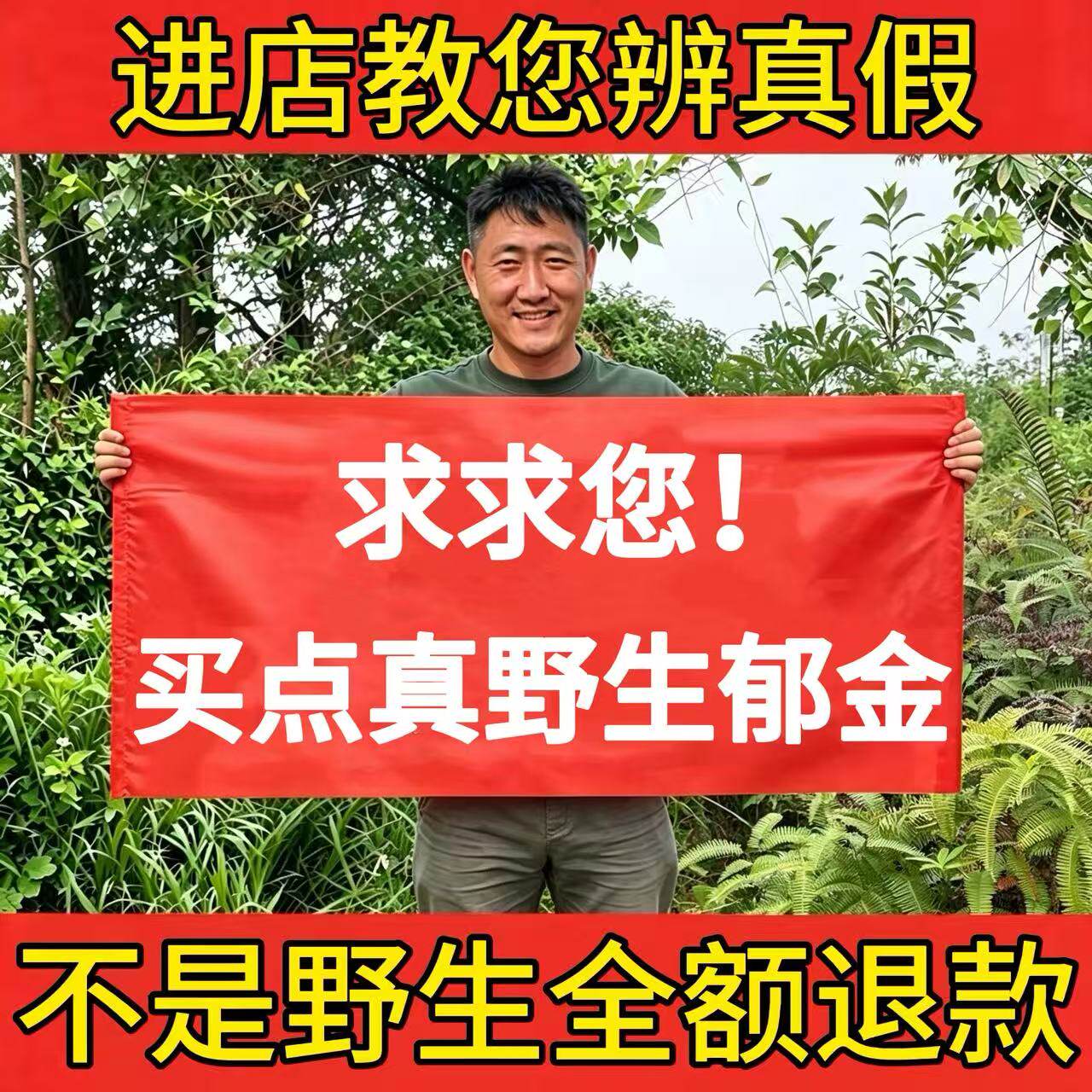 深山纯野生郁金500g中药材正品大片温郁金玉金中心片新货片泡饮茶