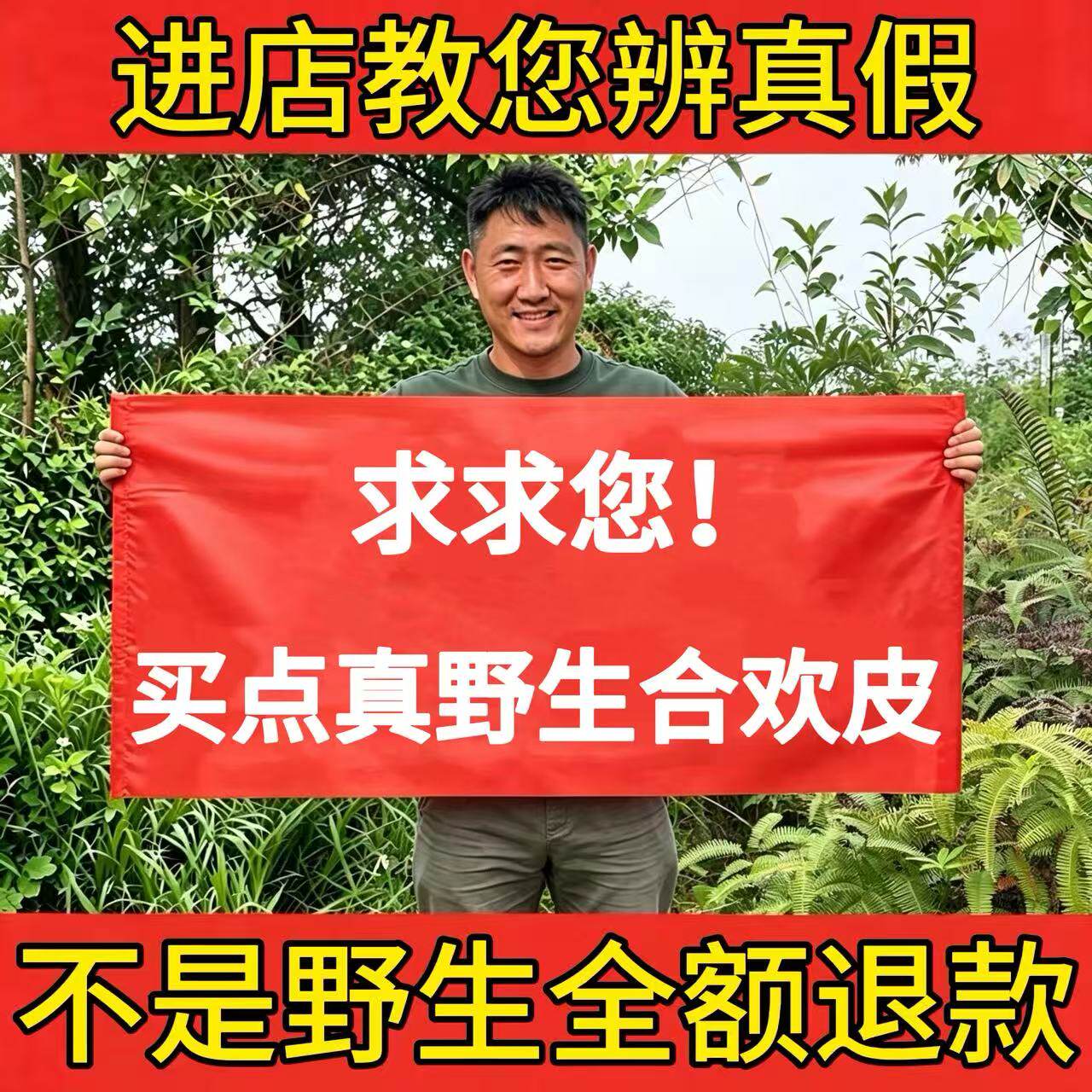 深山野生合欢皮500g中药材正品合昏皮合欢木皮搭夜交藤酸枣仁泡茶