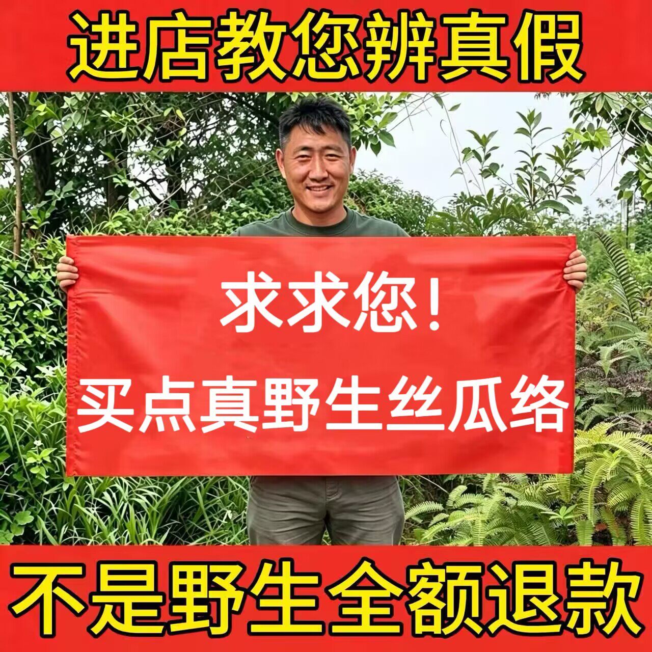 深山纯野生丝瓜络500g中药材正品天然老丝瓜干瓤去皮切段通乳泡茶