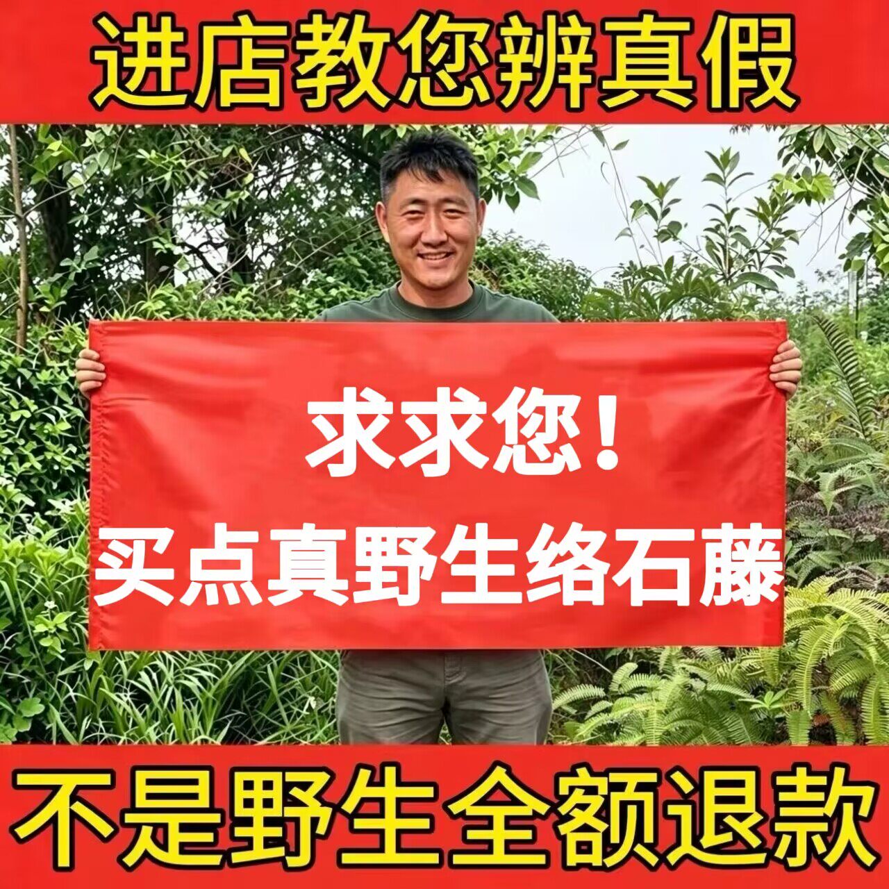 野生络石藤500g中药材正品新货络石屯爬墙虎络石草精选无硫泡水喝