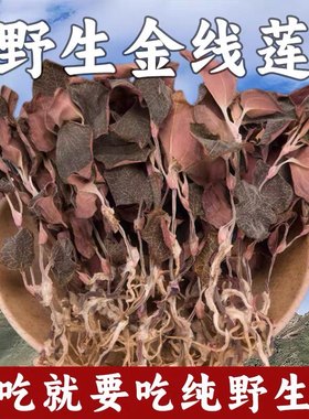 正宗整株深山金线莲深山林下原生态材新鲜干货红霞金线莲干品养肝