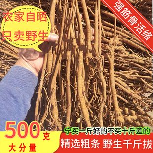 野生小叶千斤拔中药材一条根钉地根千金拨钻地风条根吊马桩金牛尾