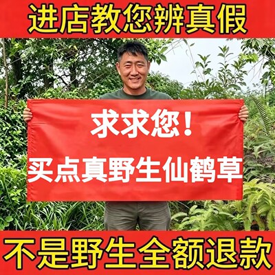 野生仙鹤草正品龙牙草新货泡茶水