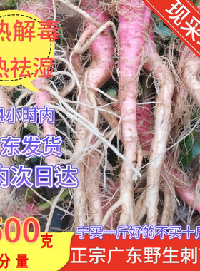 新鲜野刺苋根  红刺苋根  刺苋根 刺苋头 刺苋菜 苋菜头 刺簕头根