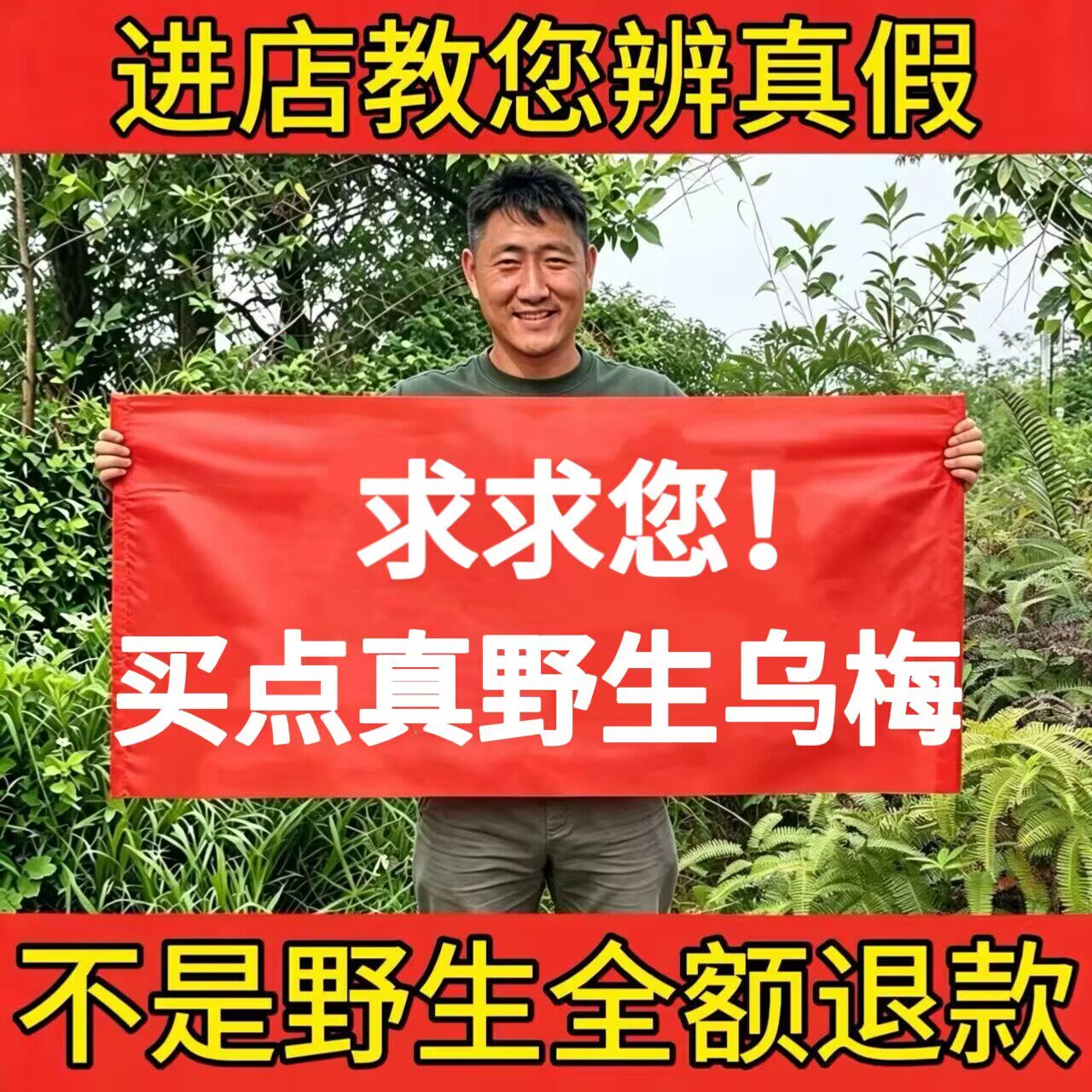 野生乌梅中药材500g正品新货无硫无添加古法烟熏泡茶煮水做酸梅汤