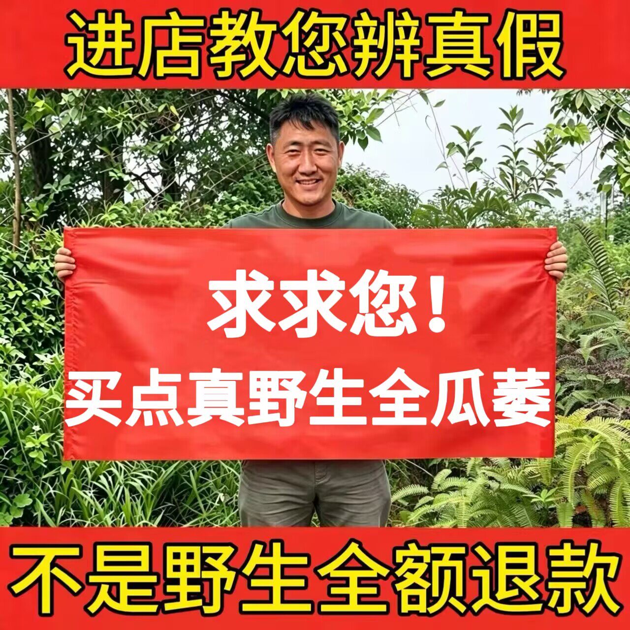 野生全瓜蒌中药材500g正品新货个头饱满大瓜蒌籽仁球瓜蒌丝无硫熏