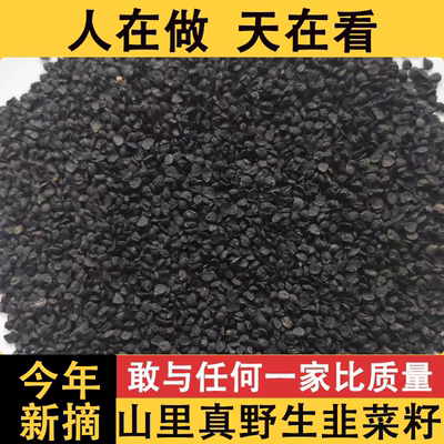 正宗野生中药材韭菜籽男性男肾泡茶正品泡酒滋补炒熟可食用韭菜子