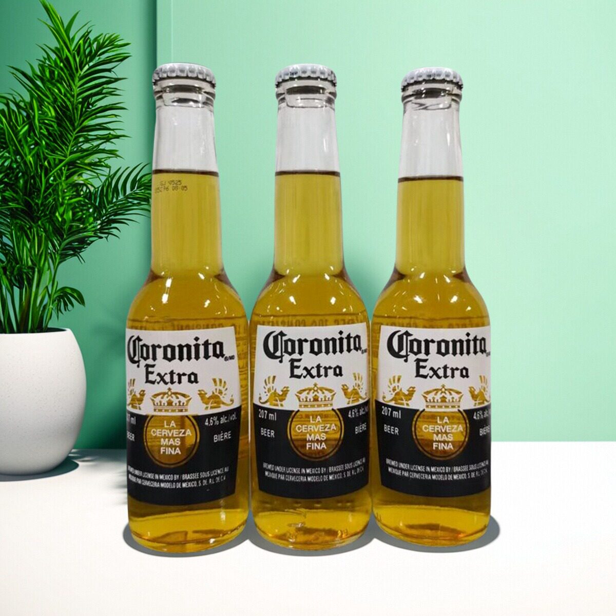墨西哥原装进口精酿啤酒