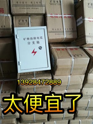 销BTTZ矿物质电缆分支箱矿物质绝缘电缆分支箱T接箱3120品