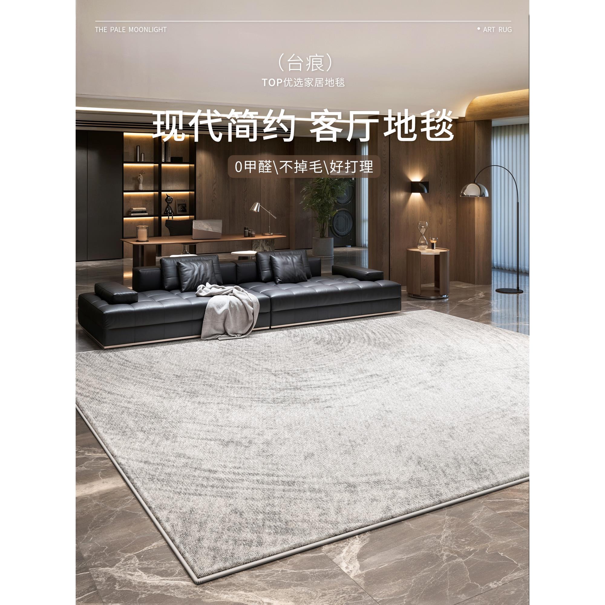地毯客厅2025新款意式现代简约轻奢高级免洗可擦防水沙发茶几地垫