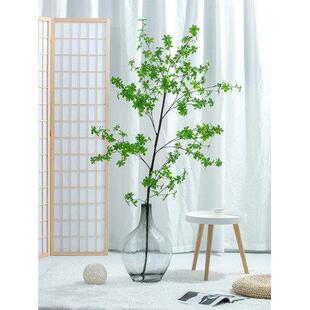 水养吊钟小口大肚特大号落地玻璃花瓶北欧圆肚瓶客厅装饰品摆件高