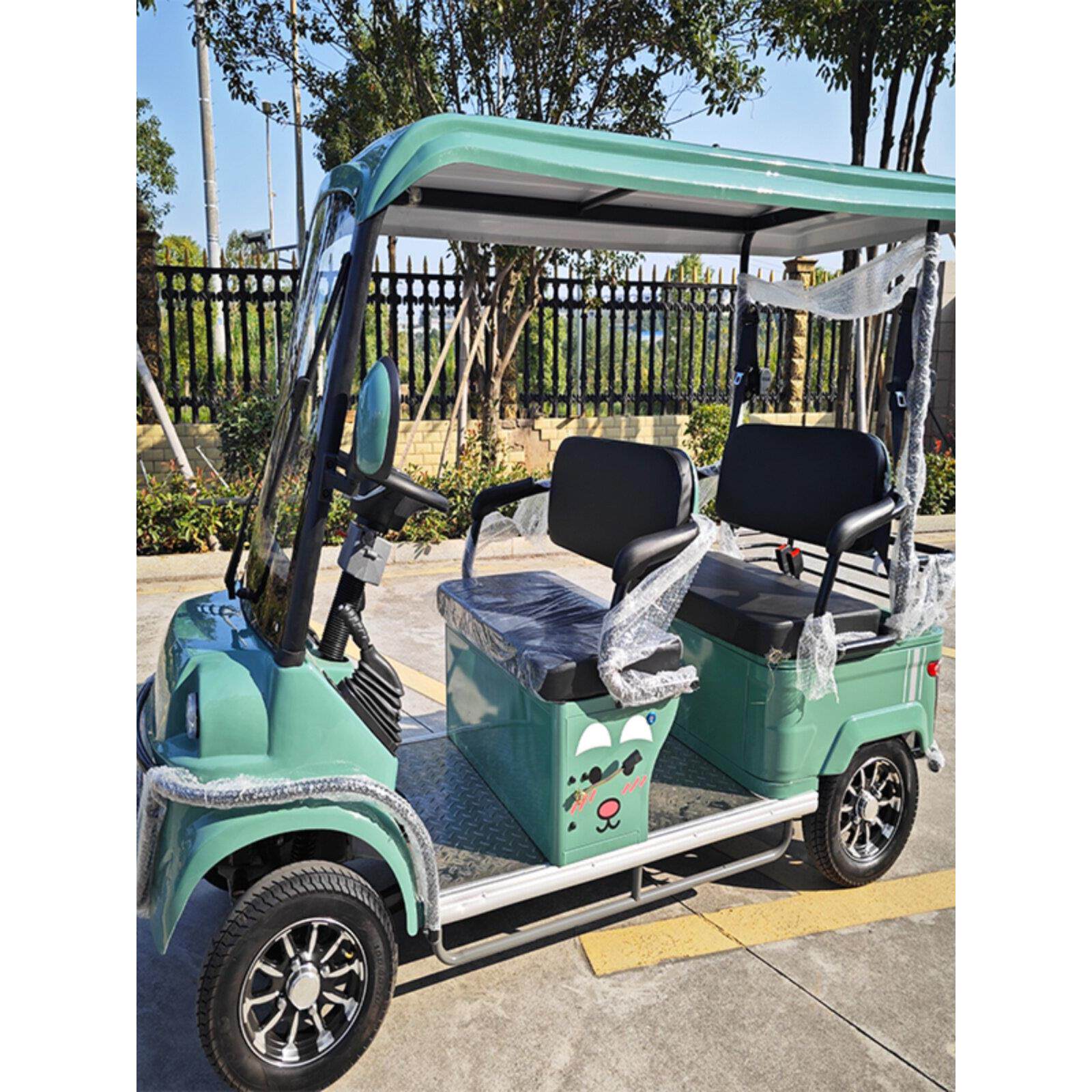 休闲马新款双排轮毂电动脚踏双人三人四人旅游观光自行车四轮电动