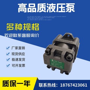 日本SUMITOMO住友齿轮泵电机组合CQTM42 3.7 380S1307E 31.5F