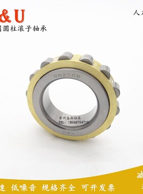 ZEU德国圆柱滚子轴承RN307M/Z1C3 内径35外68.5厚21mm减速机轴承