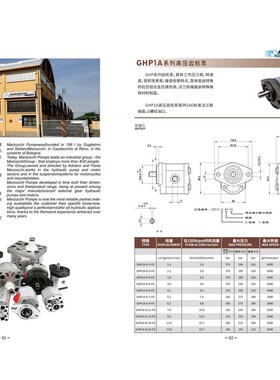 marzocchi意大利马祖奇齿轮泵GHP2A-D-6-FG 9 10 12 13 16 20 22