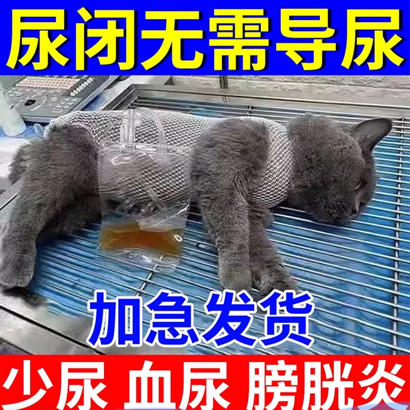 猫咪尿闭专用药口服液猫咪