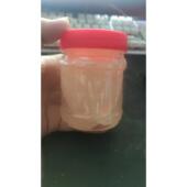 不流胶200克装 特制加硬粘虫胶 粘鼠胶