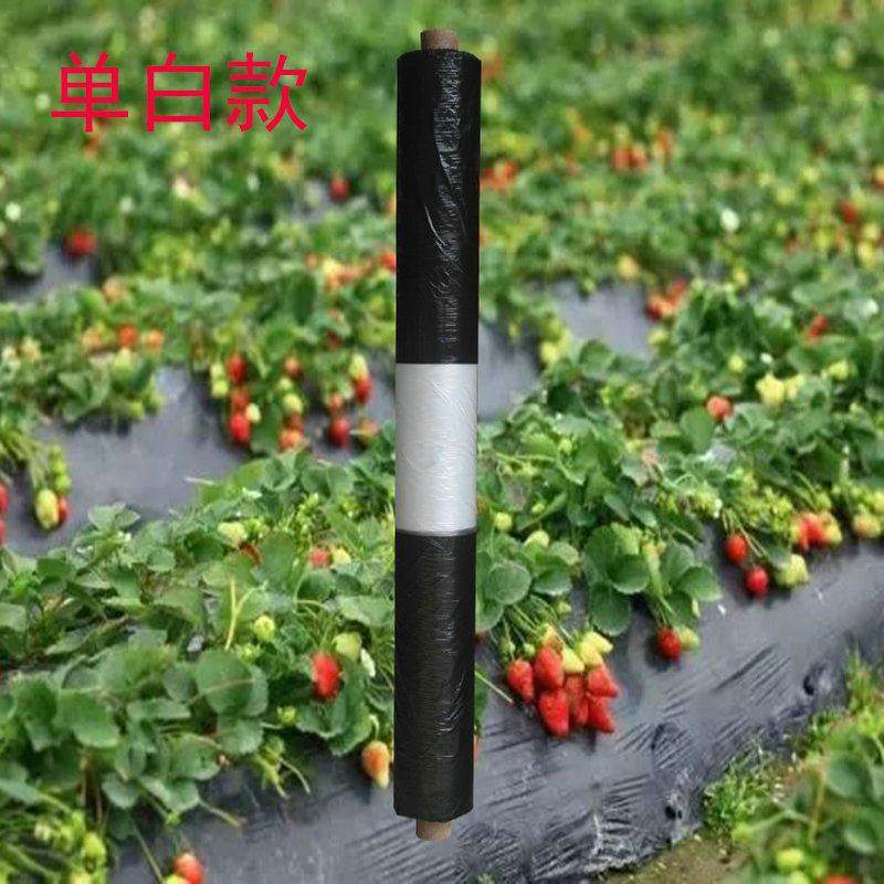 单白双白除草防草地膜保温保湿多功能黑白相间农用薄膜农作物种植,农机/农具/农膜,农用薄膜,淘宝优惠券,粉丝福利购,淘宝优惠卷