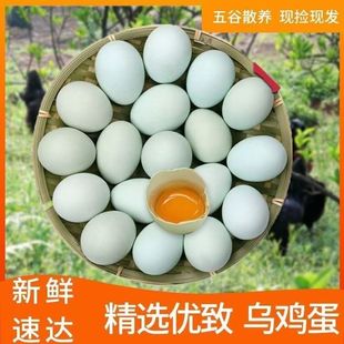 筱诺农村散养正宗新鲜土鸡蛋自由觅食放养绿壳乌鸡蛋现捡鸡蛋