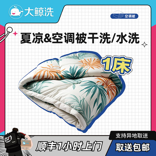 【大鲸洗】家纺 夏凉被/空调被1床清洗 顺丰上门取送包邮