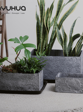 新简约灰色水泥矮款阳台长方形花盆北欧仙人掌绿植客Y厅细窄长条