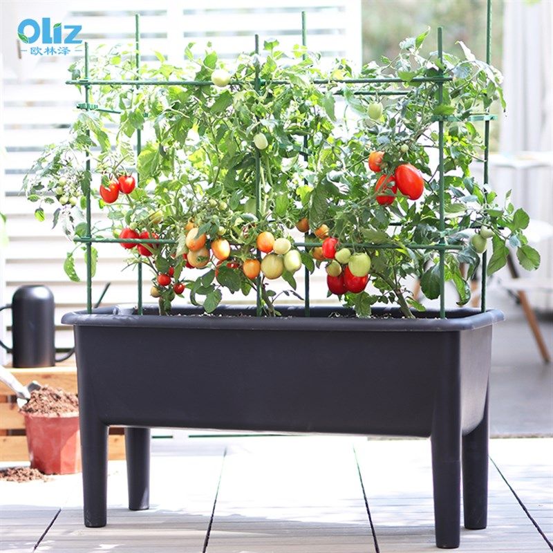 新种菜专用箱种植箱楼顶草莓盆家庭阳G台特大塑料花盆高脚长方形,鲜花速递/花卉仿真/绿植园艺,花盆,淘宝优惠券,粉丝福利购,淘宝优惠卷