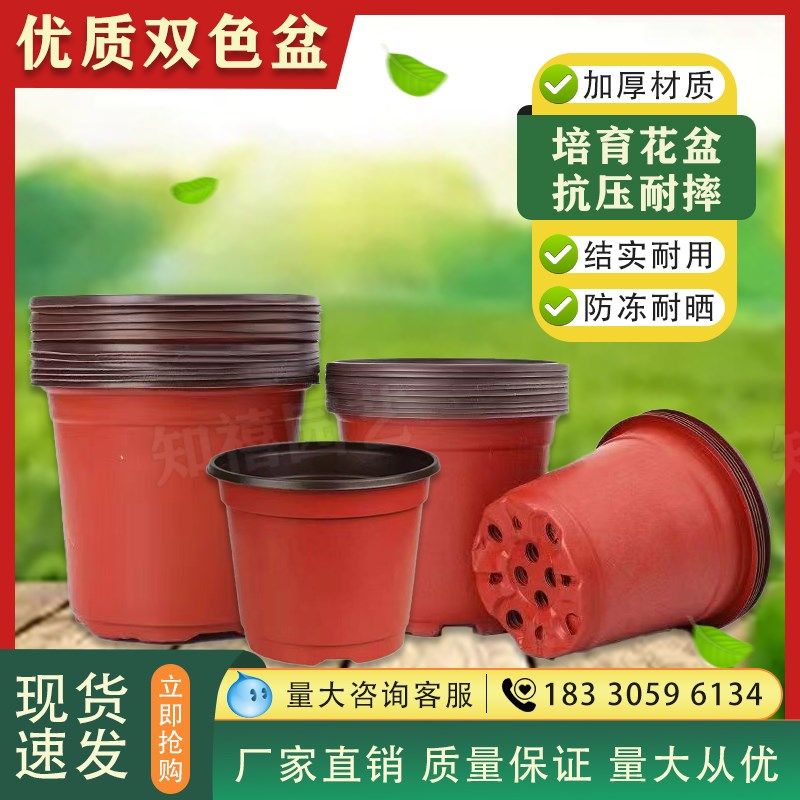 新双色育苗盆加厚k简易花盆塑料一次性营养钵育苗杯特大号花盆种,鲜花速递/花卉仿真/绿植园艺,花盆,淘宝优惠券,粉丝福利购,淘宝优惠卷