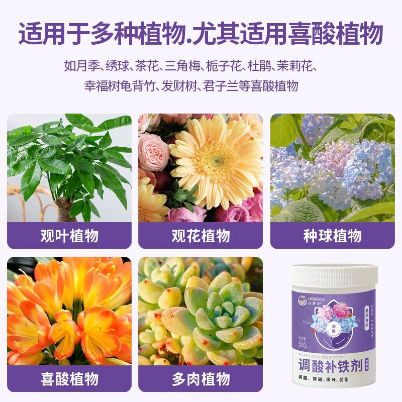 新调酸补铁剂硫酸亚铁肥料花卉专用茶花栀O子花铁树桂花水溶肥,鲜花速递/花卉仿真/绿植园艺,家庭园艺肥料,淘宝优惠券,粉丝福利购,淘宝优惠卷