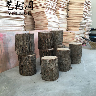 新小木桩底座摆件树桩树干原木头小树摄影L拍照园艺木柱木墩装饰