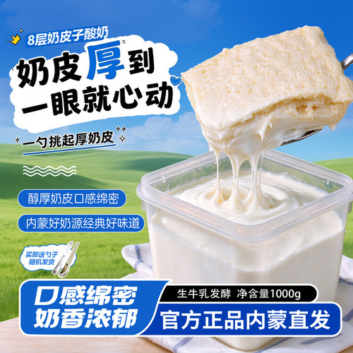 内蒙古奶皮子酸奶特产低温酸奶制品内蒙奶源浓醇奶香大桶装1000g