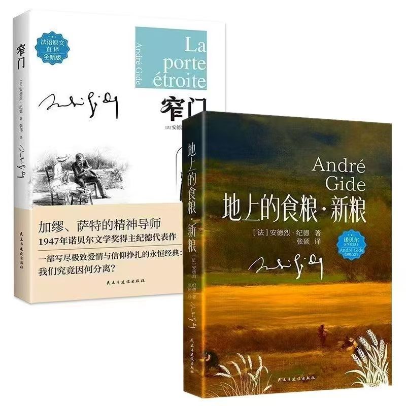 窄门世界经典文学名著人生哲学悲伤爱情故事外国长篇小说阅读书籍