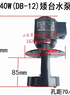 滕州ZX50C 6350钻铣床Z3032摇臂钻床冷却水泵水管40W三相电动水泵