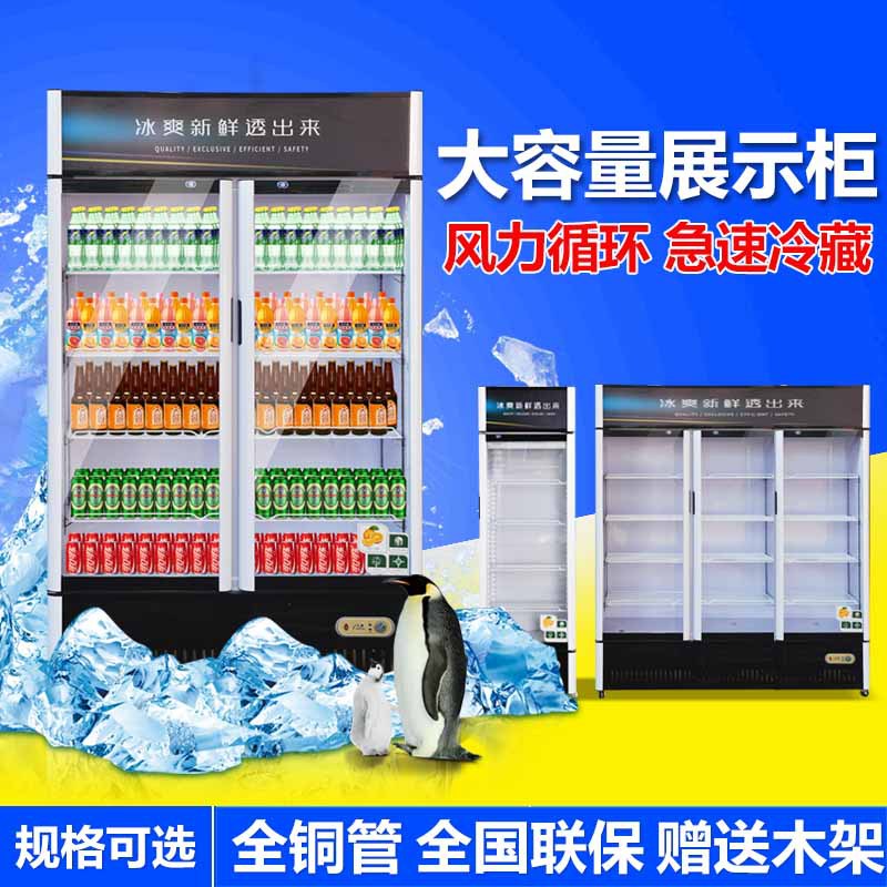 冷藏展示柜立式啤酒饮料柜玻璃门保鲜柜 单双门冷藏展示柜