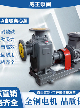 供应CYZ高耐磨不锈钢双轮齿轮泵自吸式离心油泵电动液压齿轮油泵