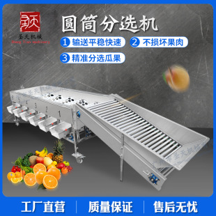 橙子苹果柠檬圆形水果筛选 大小分级机 水果分选机 蜜橘拣果机