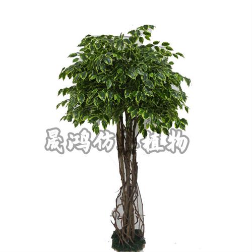 仿真绿色榕树公园假榕树大门装饰造景室内外靠墙榕树客厅摆设