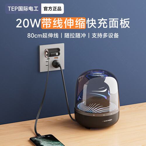 国际电工86型20W快充USB墙壁手机充电Type-c家用五孔带数据线面板