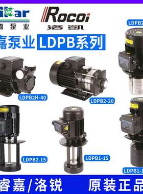 机床冷却水泵LDPB1V/2H-15-18-20-25-30-40TP/SP卧式多级切割泵