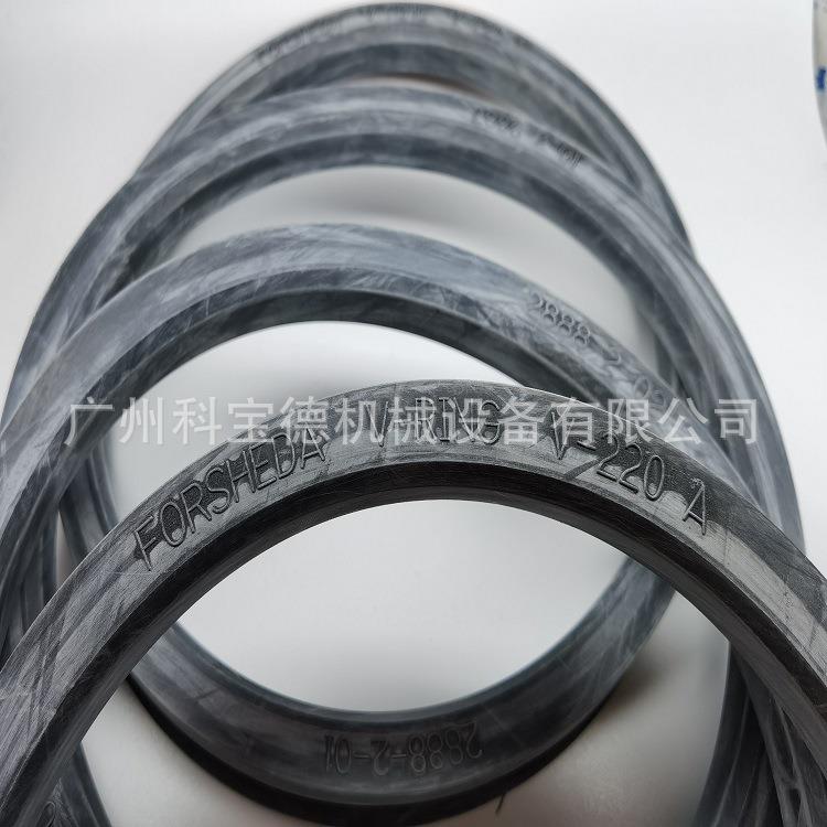 FORSHEDA V-RING V-250A密封圈TWVA02500-N6T50 VAVSVL水封密封件