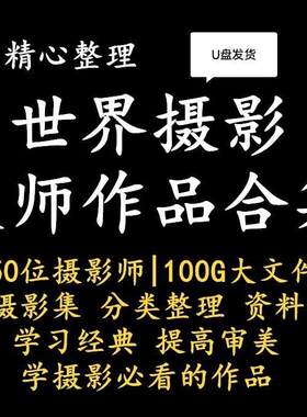 100位国外摄影大师作品合集参考资料审美提升摄影学习U盘