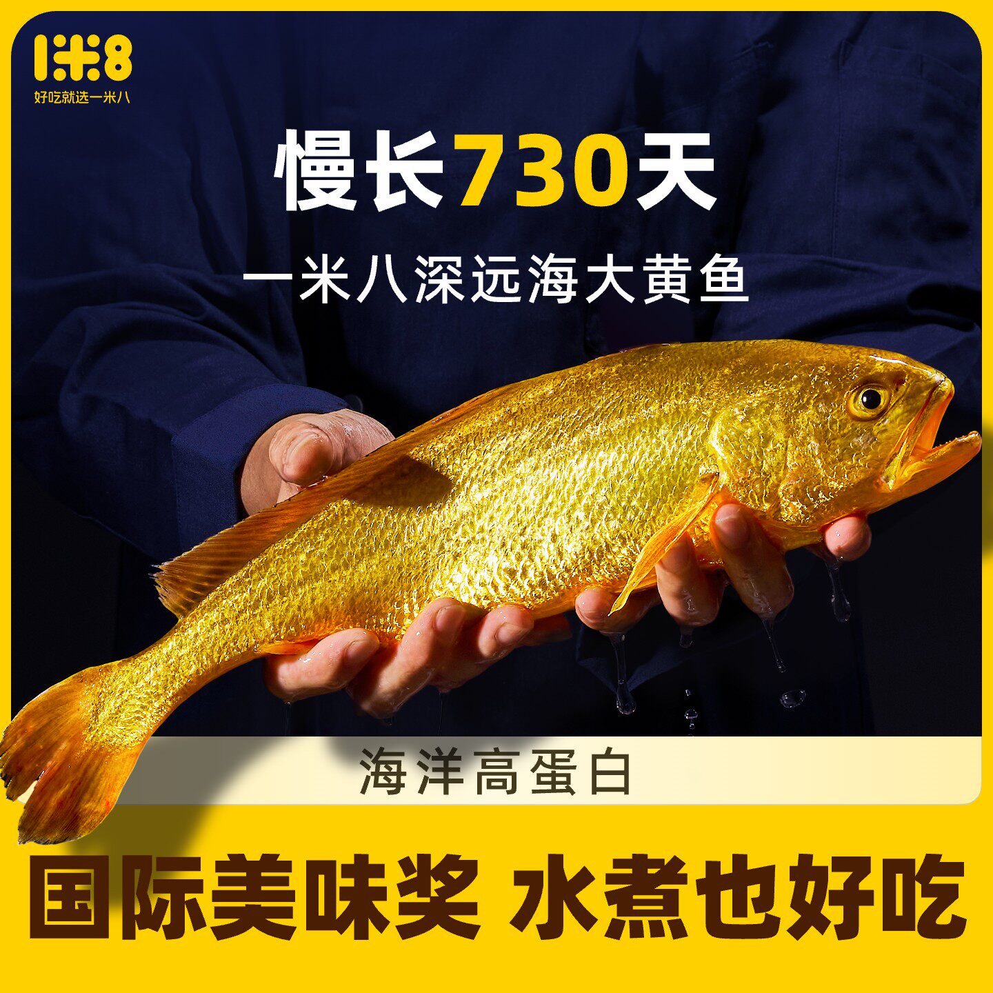 一米八深远海冷冻东海大黄鱼
