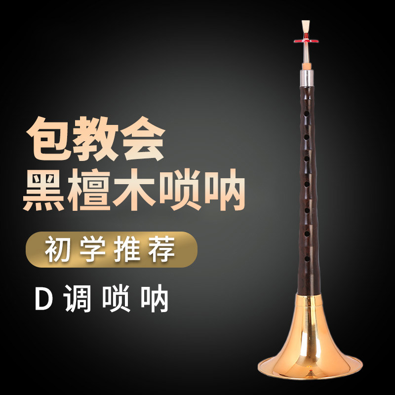 演奏专业黑檀木唢呐乐器红木全套d调D调初学者入门小号哨片配件