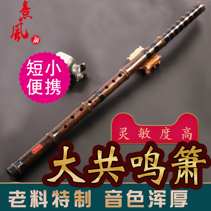 短箫特制演奏级专业洞箫一节紫竹高档萧初学箫笛G调F调潇民族乐器