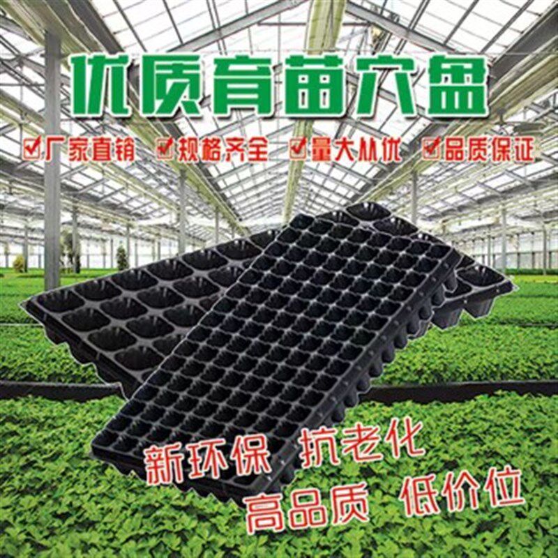 育苗盘加厚穴盘托盘西红柿辣椒玉米育种育秧盘扦插多肉加深培育盘