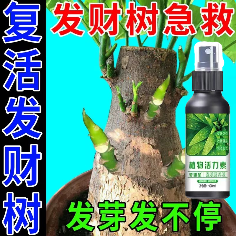 发财树爆芽素专用肥叶子发黄掉枯叶烂根生根剂发财树发芽液