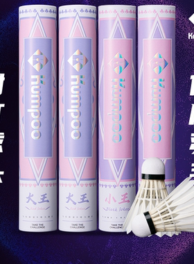 熏风小王羽毛球正品鹅毛12只薰风耐打稳定室内比赛训练球红薰4号