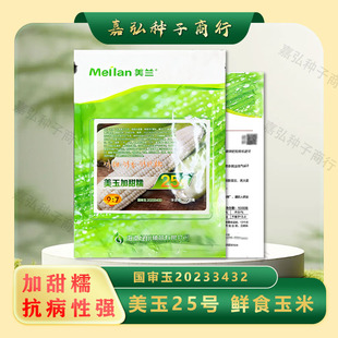 美兰美玉25号加甜糯玉米种矮杆抗病性好 口感甜糯好吃棒子大