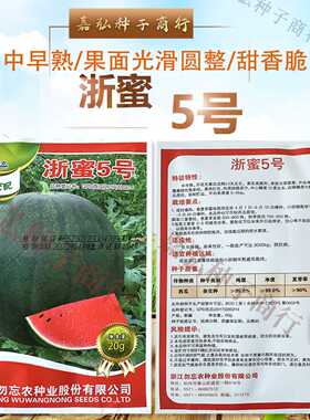 浙蜜5号西瓜籽 中早熟果面光滑圆整肉质细脆多汁 薄皮大果耐贮运